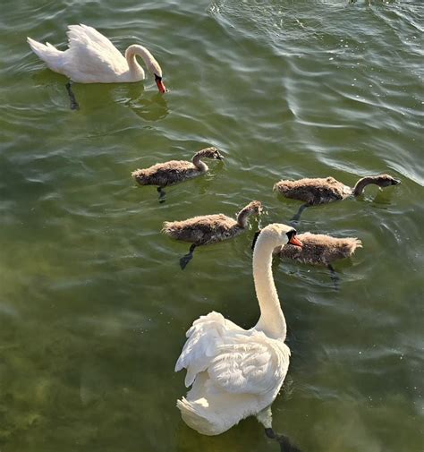 Infografika vysvetľujúca podmienky nároku na predĺžený rodičovský príspevok