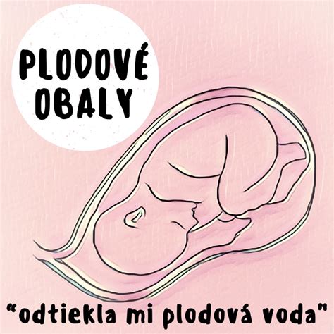 Plodové obaly a ich funkcie
