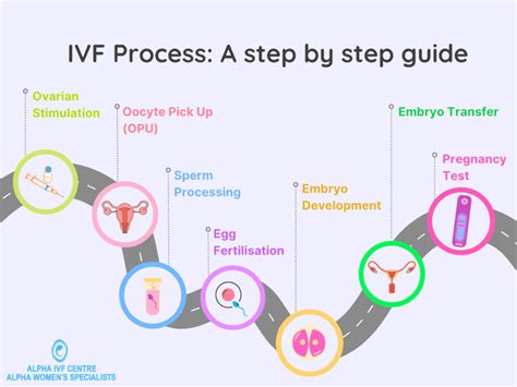 IVF process overview diagram