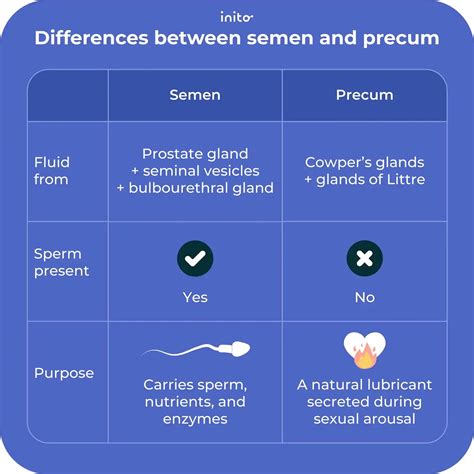 Diagram illustrating sperm in pre-ejaculate vs ejaculate