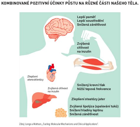 Zápalové procesy v tele