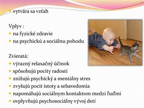 Vplyv prostredia na vývin dieťaťa
