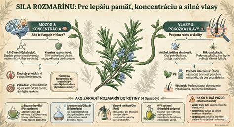 Infografika: ITOFINISH KELP a jeho účinky