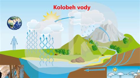 infografika znázorňujúca kolobeh živín v jazierku
