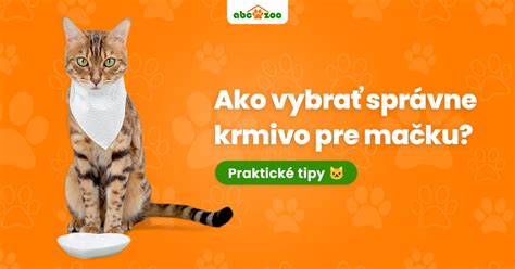 príklad domácej pôrodnej debničky pre mačku