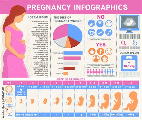 Infographic describing the recovery steps after pregnancy loss