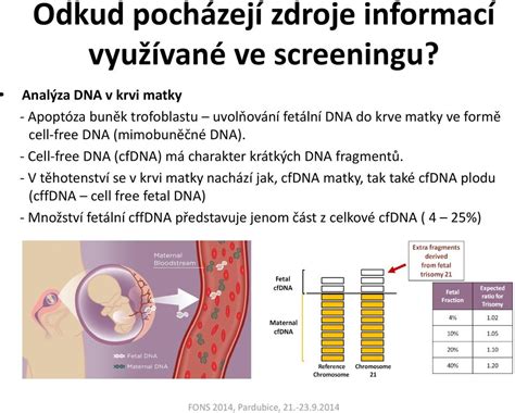 Interakcia matky a plodu