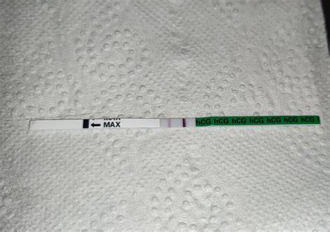 Tehotenský test