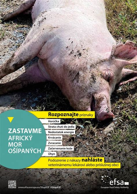 Príznaky otravy u ošípaných