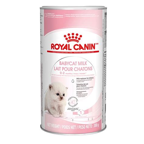 Cat food for lactating queens