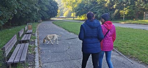 Pes na prechádzke s majiteľom s voľným vodítkom