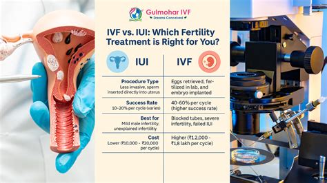 Porovnanie IUI a IVF úspešnosti
