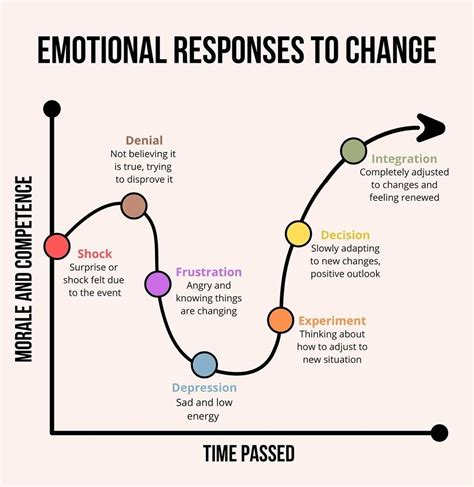 Diagram showing the emotional journey of a biological mother during adoption