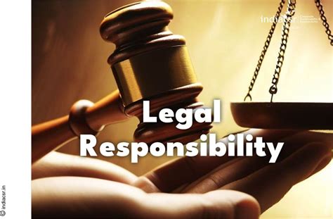 Graphic representation of the legal responsibility and rights structure in adoption