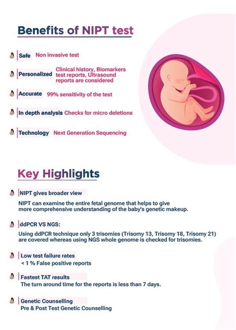 Infografika: Kedy a ako sa vykonáva NIPT test