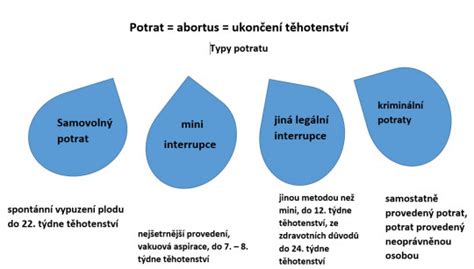 Proces lekárskeho zvládania potratu