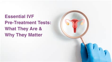 Prehľad dokumentov pre refundáciu IVF liečby