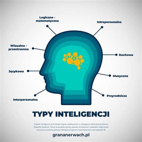 Infografika: Typy pracovných prestávok