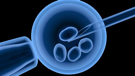 Zariadenie pre in vitro fertilizáciu (IVF) v laboratóriu
