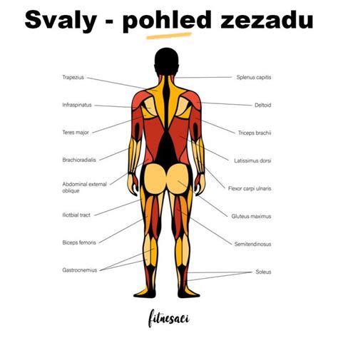 Žena masírujúca si hrádzu s popisom smeru pohybu