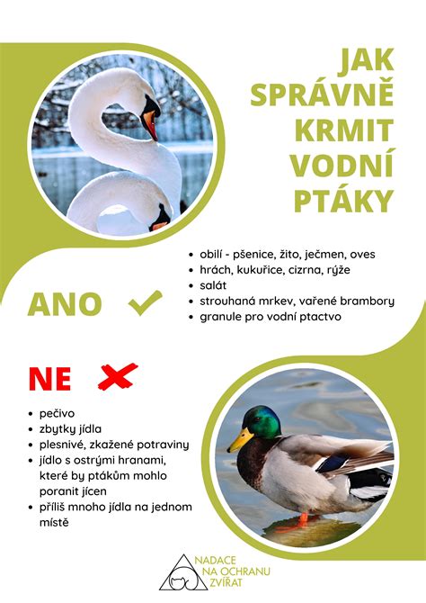 Infografika: Rekordy v pôrodoch a veľkosti mláďat
