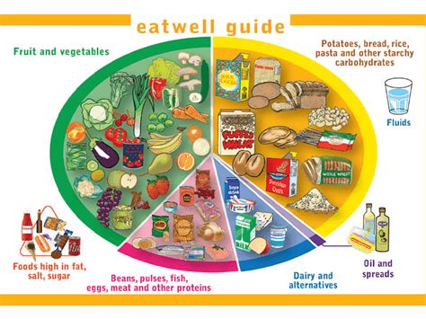 grafika taniera zdravej výživy pre školákov (Eatwell plate)