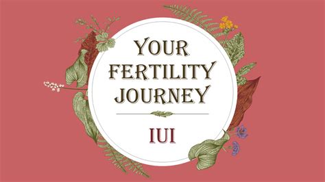 Pár drží malú detskú topánku s textom IUI journey