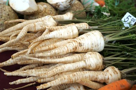 Čerstvý petržlen a mrkva