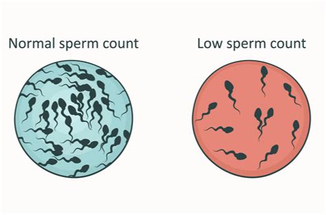 Diagram porovnávajúci koncentráciu spermií u mužov s rôznou mierou konzumácie pornografie