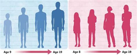 Diagram: Hľadanie identity v puberte