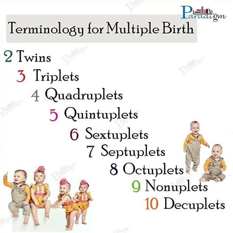 Infographic of multiple births (showing twins, triplets, quadruplets, etc. up to the highest recorded)