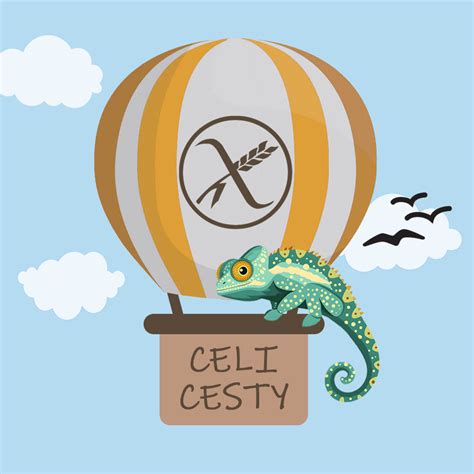 Ilustrácia preukazu ZŤP