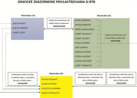 Grafické znázornenie historických formátov kníh (fólio až 16-ka)