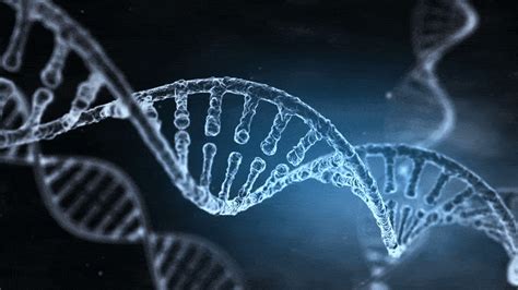 Geografické rozdiely v ľudskej DNA
