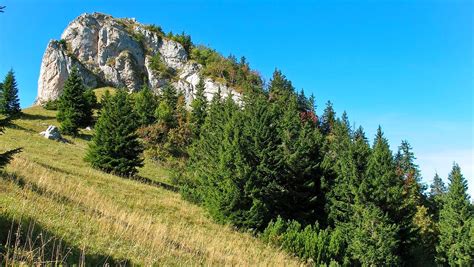 Zasnežená krajina Smrekovice vo Veľkej Fatre