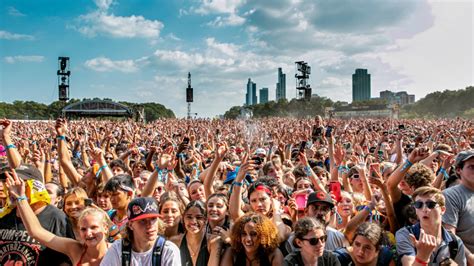 Concert crowd at a music festival