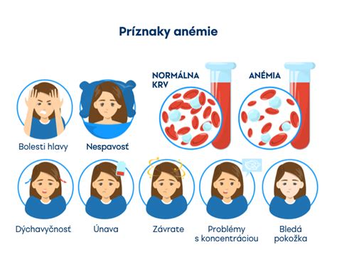 Schéma tvorby červených krviniek a rola vitamínov