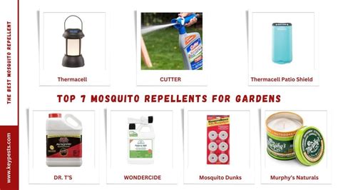 Different types of insect repellents