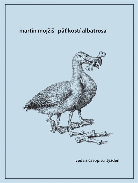 Ilustrácia albatrosa na otvorenom mori