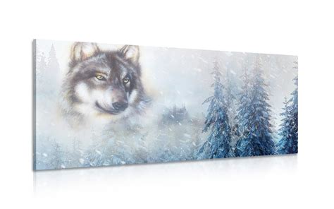 Samojed v zasneženej krajine