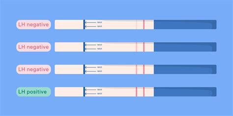 Ovulation test strip comparison showing LH surge