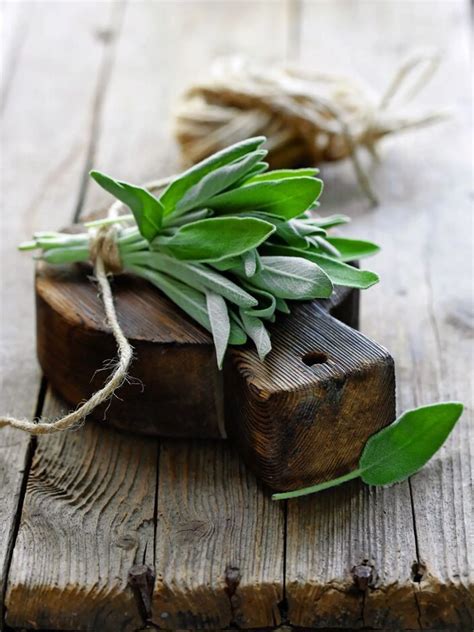Rôzne formy spracovania šalvie (sirup, čaj, korenie)