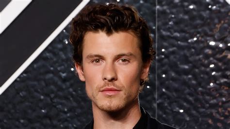 Shawn Mendes portrét