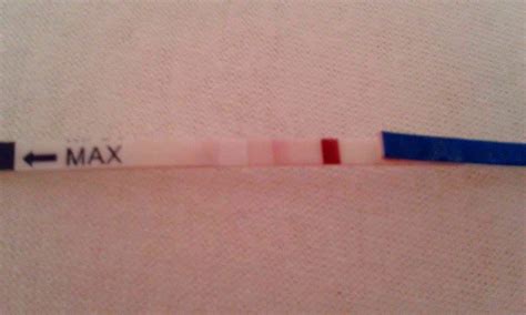 Pocity po embryotransfere