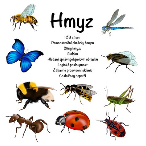 Rôzne druhy hmyzu ohrozujúce deti