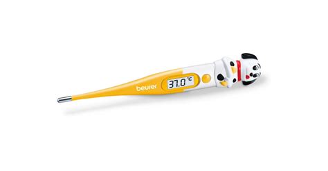 Teplomer v rekte psa