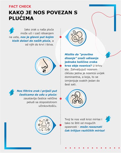 Infografika vysvetľujúca princíp kavitačného ultrazvuku