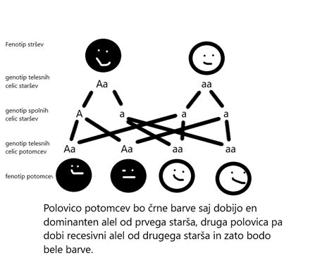 Schéma dedičnosti autozómovo-recesívneho ochorenia