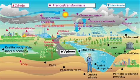 Vplyv rôznych látok na vrodené vady