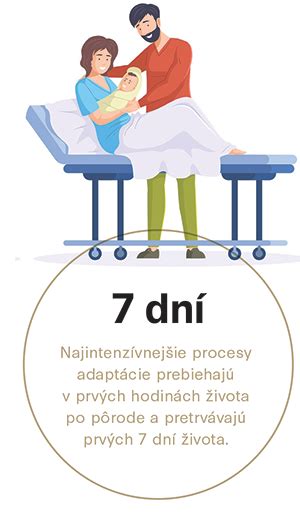 infografika o vývoji nedonoseného novorodenca